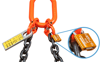 In addition to the Sling FIELDID tag each sling comes with an annual colour coded steel cable-bar lock displaying year of manufacturing or last inspection and a serial number which is recorded in the FIELDID database UNLESS you want to record your own.